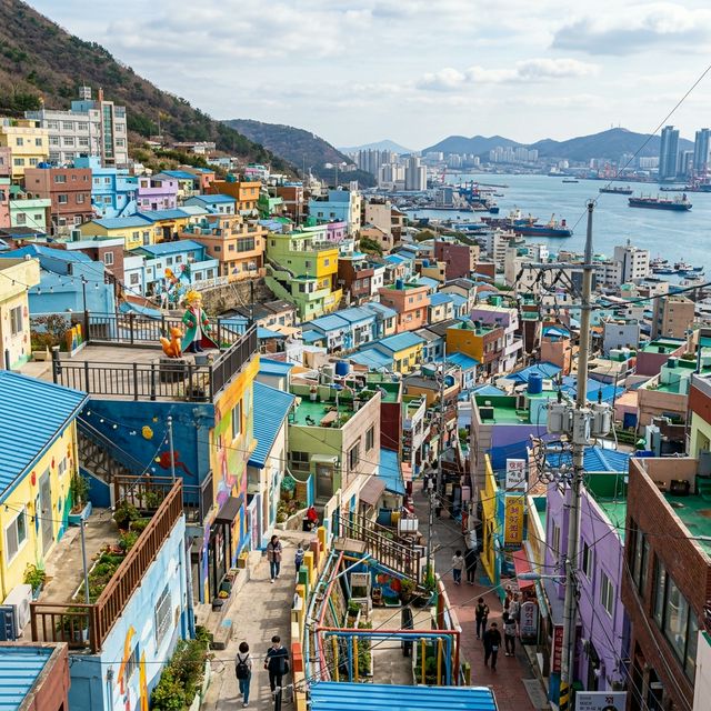 Busan Coastal & Culture Village Tour - 2